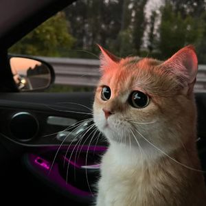 丝袜取精的十个小窍门
