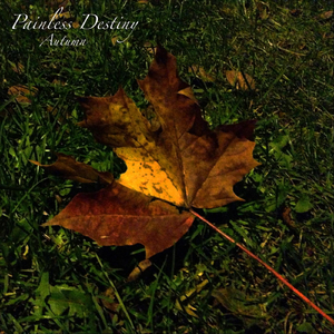 丝袜取精的十个小窍门
